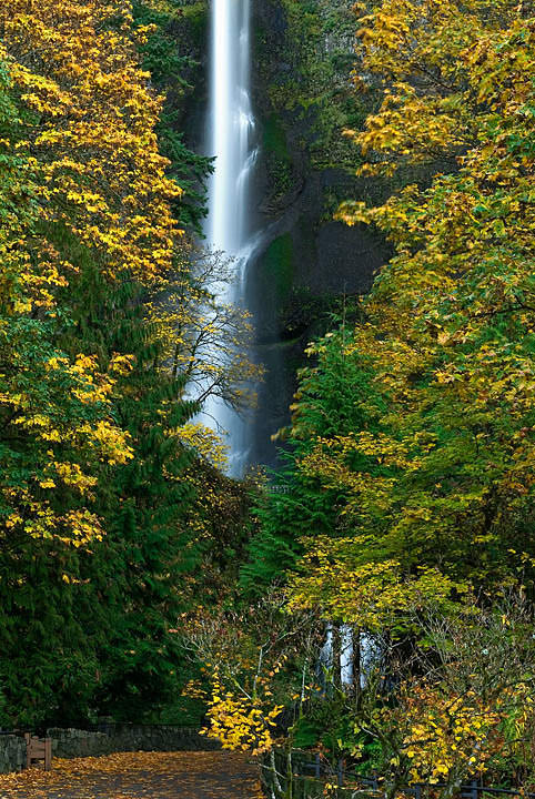 Fall at Multnomah Falls