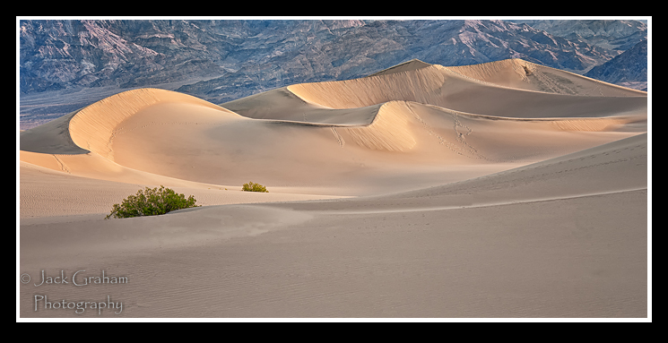 Image # 2   Mesquite Flat Sand Dunes, DVNP  ©Jack Graham