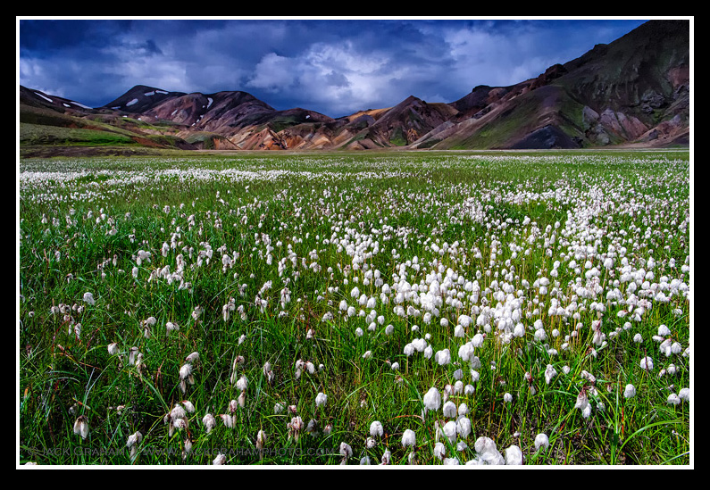 The highlands of iceland