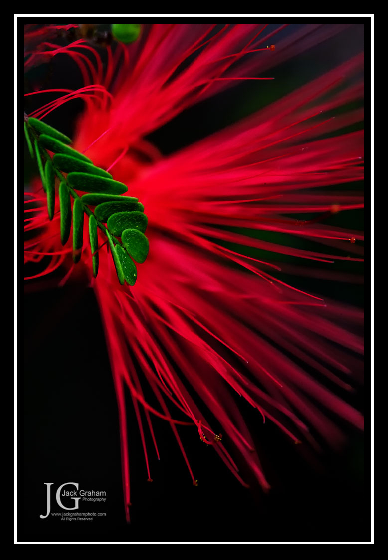 _DSC4823-1391-1392-1393a-1394