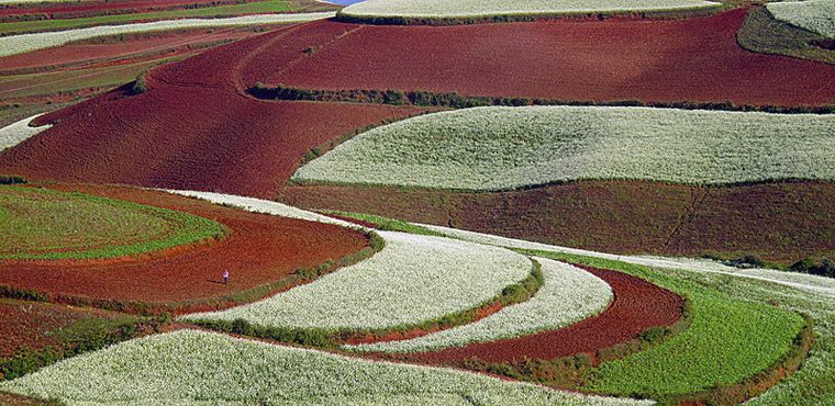 China-red-green-fields