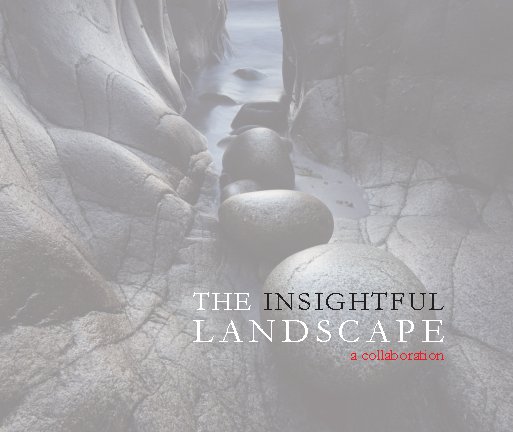 insightful landscape