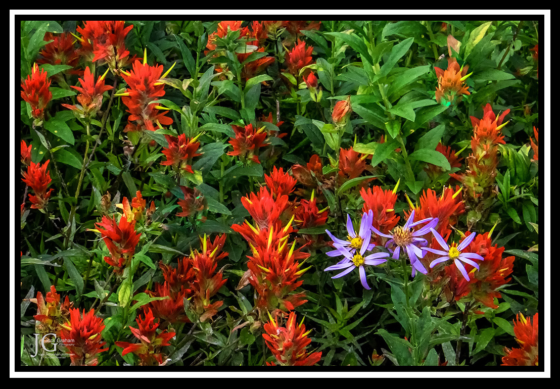 _DSF6123-Edit-Edit-2