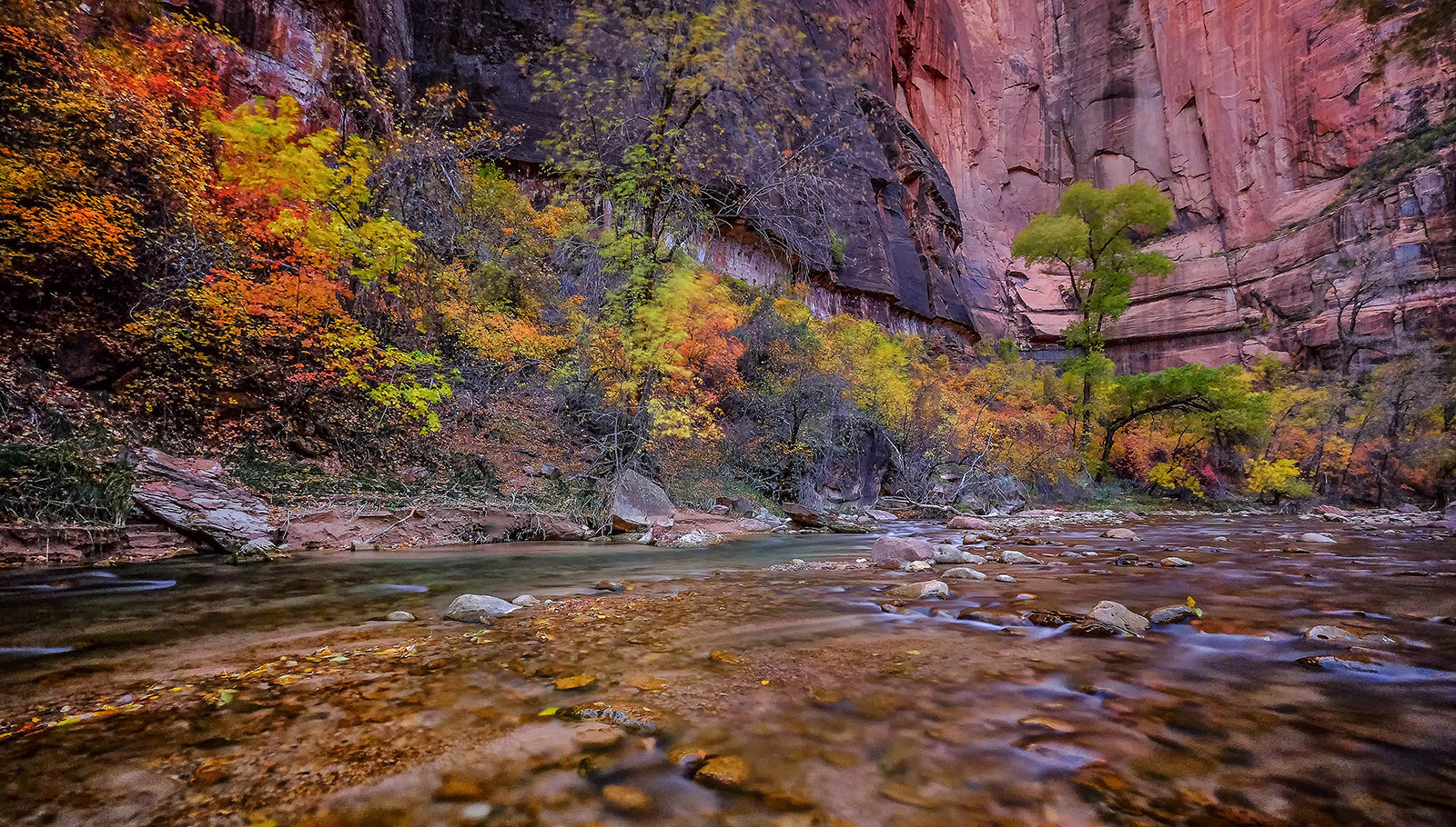 Fuji XT 1/ Fuji 10-24mm F4