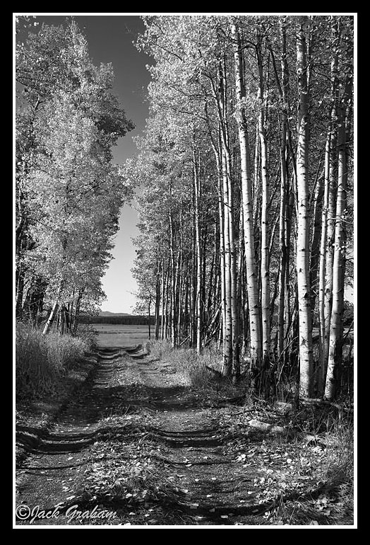 LAWA-CONBOY3_0910_1159b&w