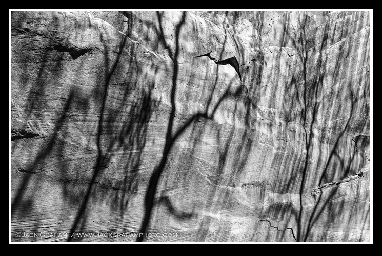 TRAZ_CDC1_110411_5637M