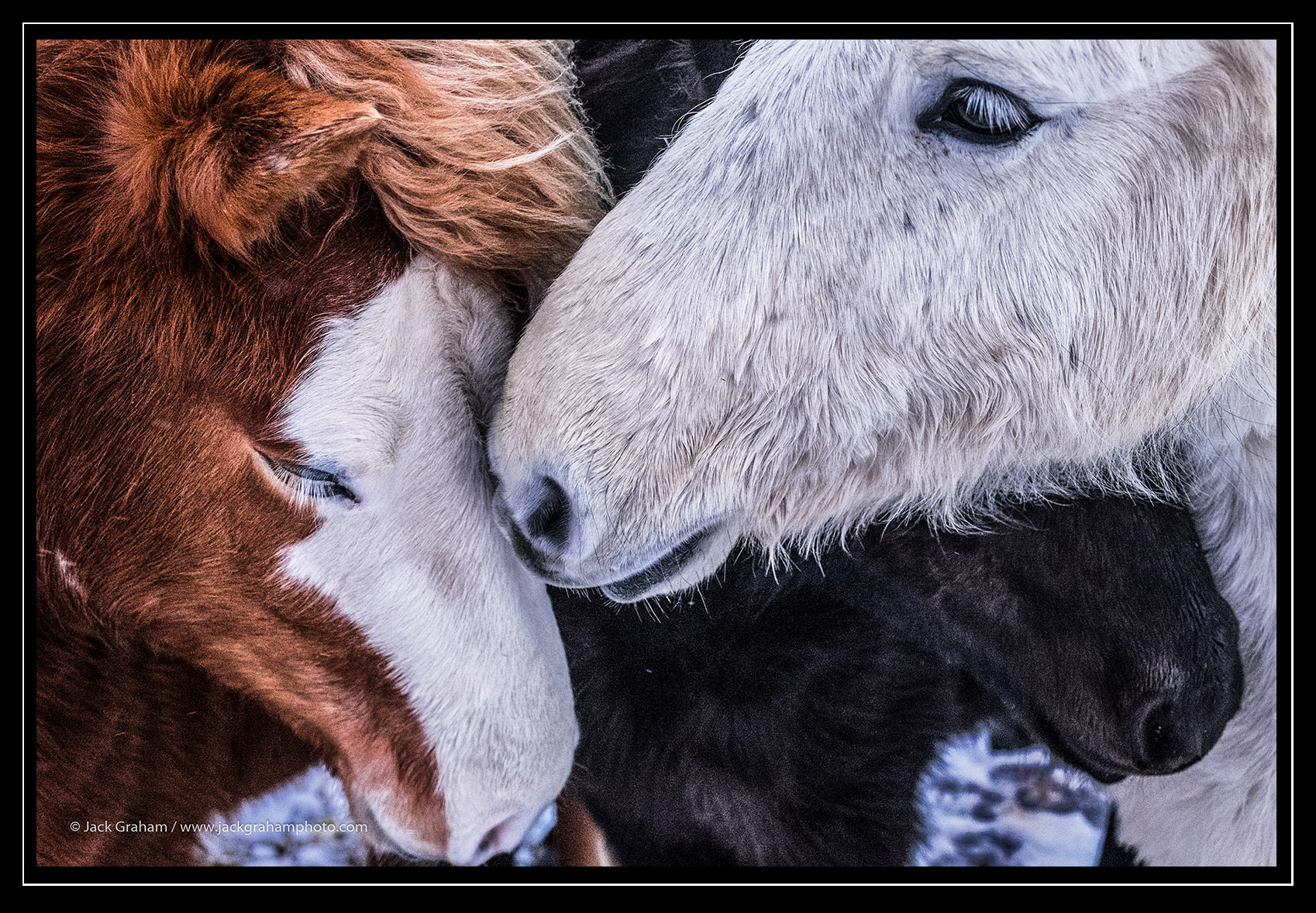 _JGP1140-Edit-Edit-Edit