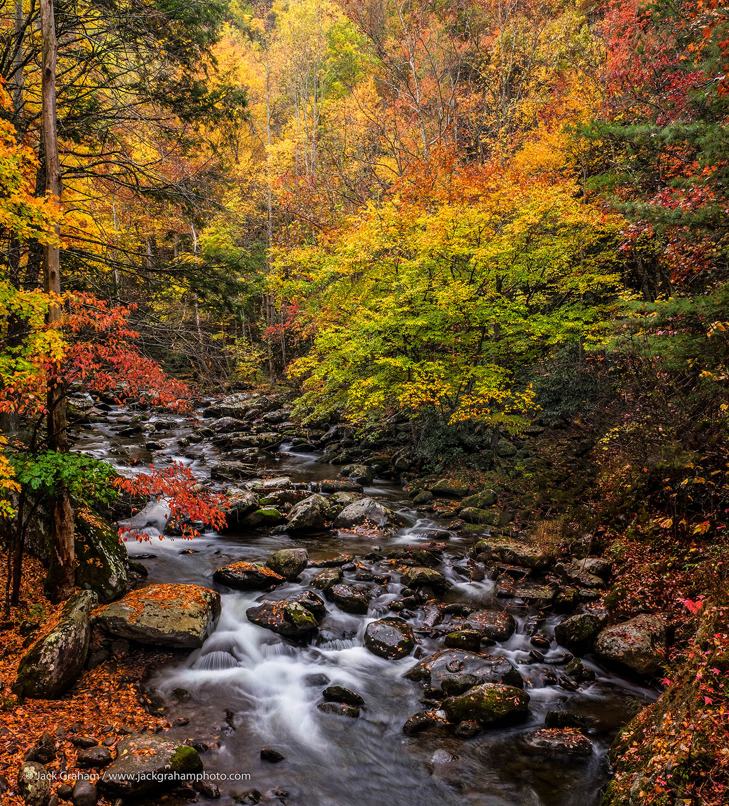 smoky mountain stream in the fall