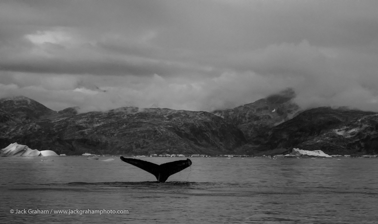 _DSF9840-Edit-Edit-Edit-Edit